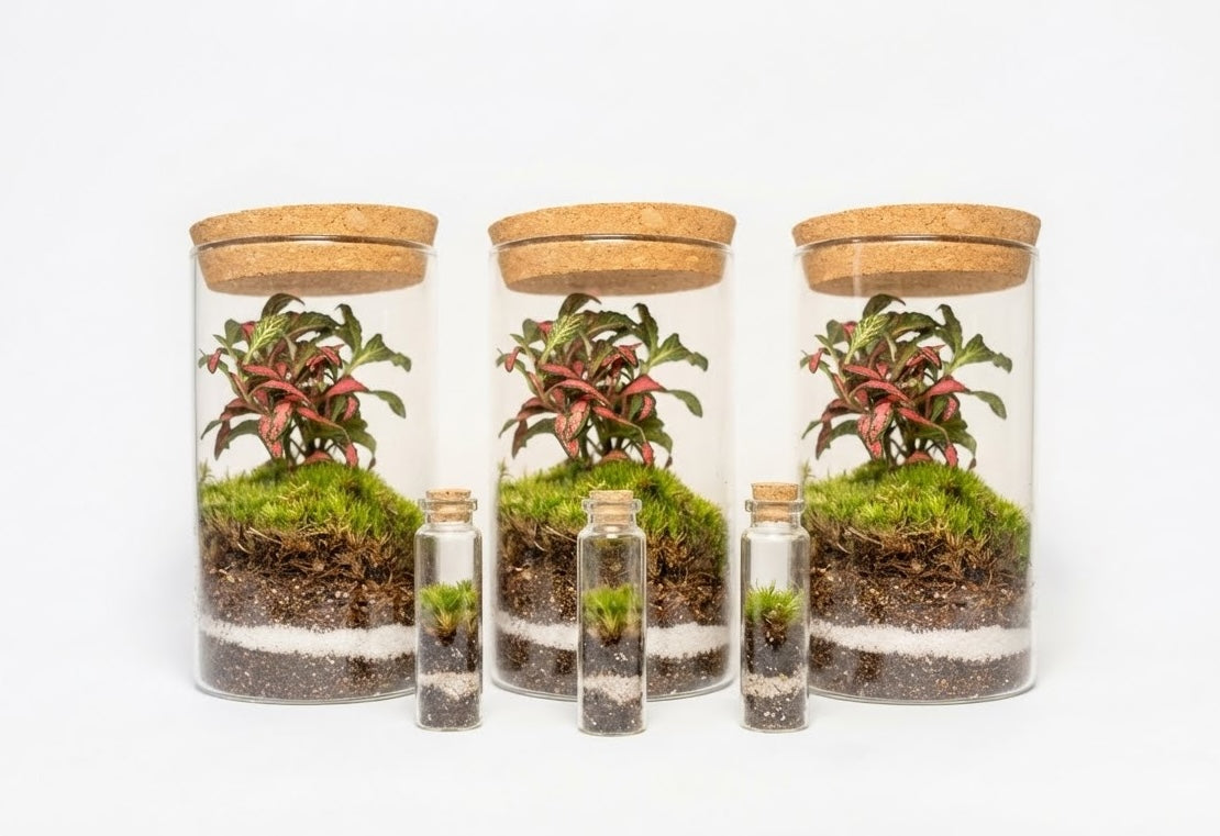 Mossarium Crystal Medium - Mineral stone edition