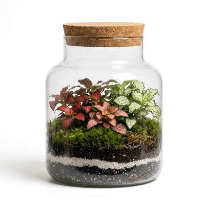 Mossarium Special Large 17x25cm