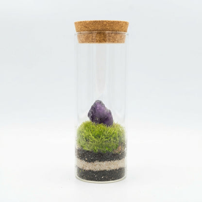 Mossarium Crystal Medium - Mineral stone edition