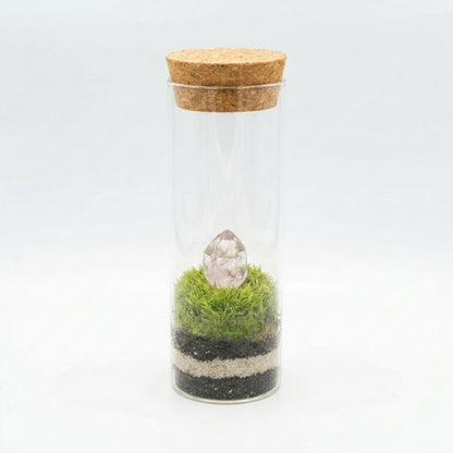 Mossarium Crystal Medium - Mineral stone edition