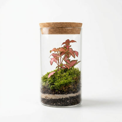 Mossarium Crystal Large