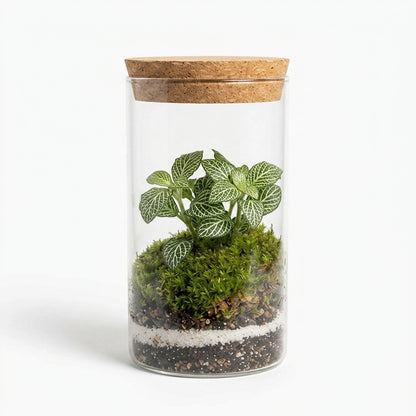 Mossarium Crystal Large